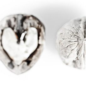 Innen Außen: Nussbaum von André Blom Fotografie Utrecht