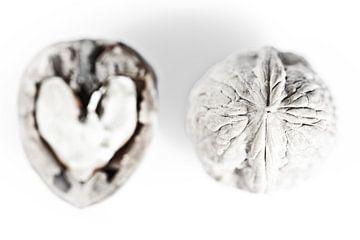 Inside Outside: walnut