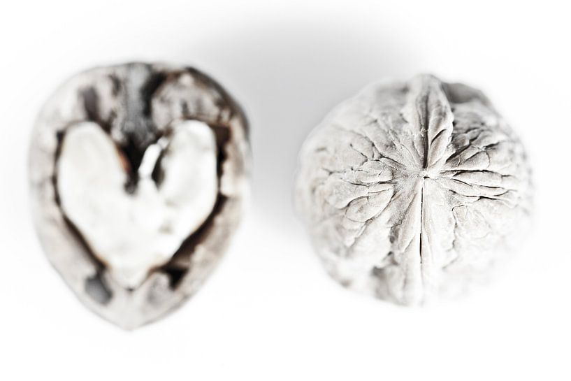 Inside Outside: walnut by André Blom Fotografie Utrecht