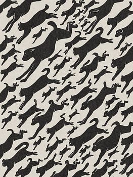 Es regnet Katzen und Hunde