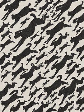 Het regent katten en honden van Sardines