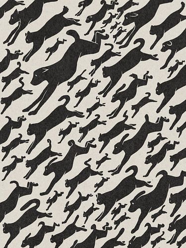 Raining Cats and Dogs