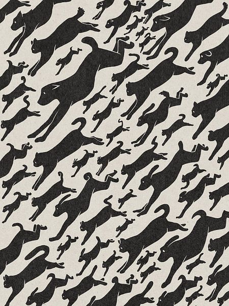 Raining Cats and Dogs by Sardines