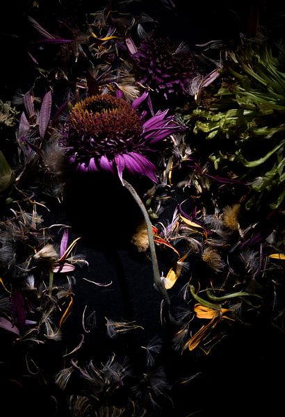 that once flourished by Karin van Bylevelt