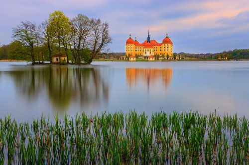 Kasteel Moritzburg