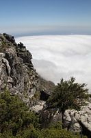 Tafelberg Kaapstad in de mist, Robbeneiland in de verte