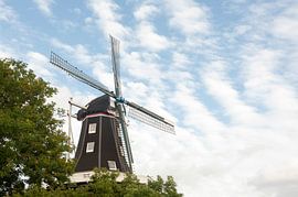 Molen Entreprise Kolham van Richard Wareham