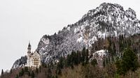 Schloss Neuschwanstein im Winter, Deutschland von Jessica Lokker Miniaturansicht