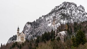 Kasteel Neuschwanstein in de winter, Duitsland