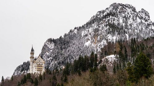 Neuschwanstein Castle in winter, Germany