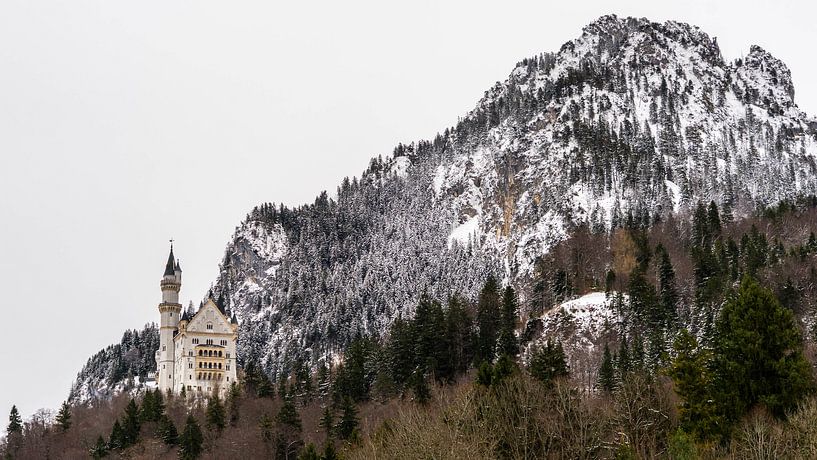 Schloss Neuschwanstein im Winter, Deutschland von Jessica Lokker