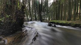 the stream von Maurice Hoogeboom