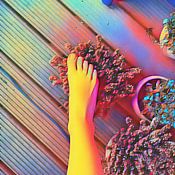 Lara Müller Profilfoto