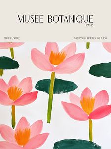 Musée Botanique No 19