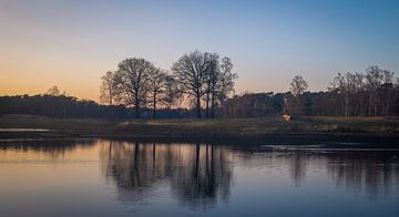 Surae, Forestry of Dorst by Patrick Rosenthal