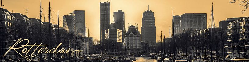 Rotterdam Skyline von Fred Leeflang