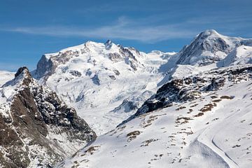 Walliser Alpen von t.ART