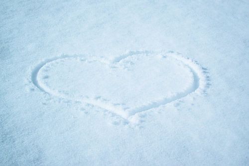 Quiet Love in the Snow