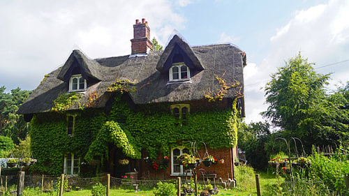 Met lianen bedekt huis op het pad in Suffolk