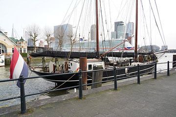 Rotterdam haven ,cruiseschip Rotterdam van Alain Ulmer