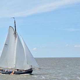 The sailing ship ZA 1 de Jager by Piet Kooistra