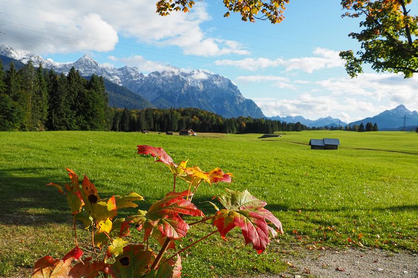 Autumn atmosphere in the mountains - colourful splendour, tranquillity and the magic of nature by Miriam Schwarzfischer Fotografie