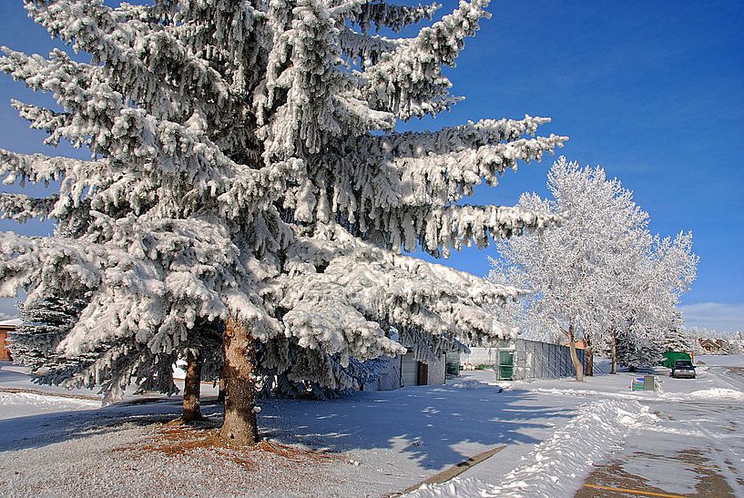 RIJP/FROST von Roelof Touw