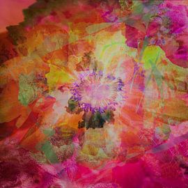 Seele von Patrick van Raalten