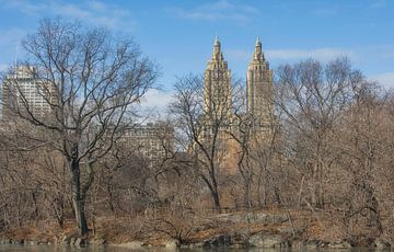 Central Park New York City by Marcel Kerdijk