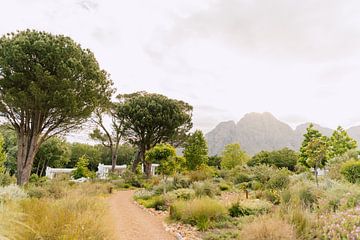 Paysage de montagne | Afrique du Sud Photographie de voyage sur Yaira Bernabela