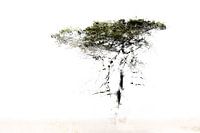 Abstracte boom