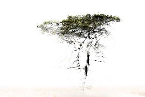 Abstrakter Baum von Ingrid Van Damme fotografie