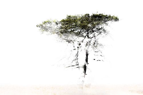 Abstracte boom