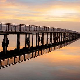 Brug van Myrthe Vlasveld