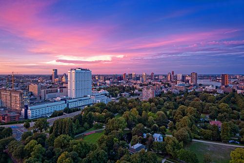Rose et bleu / Rotterdam / Euromast