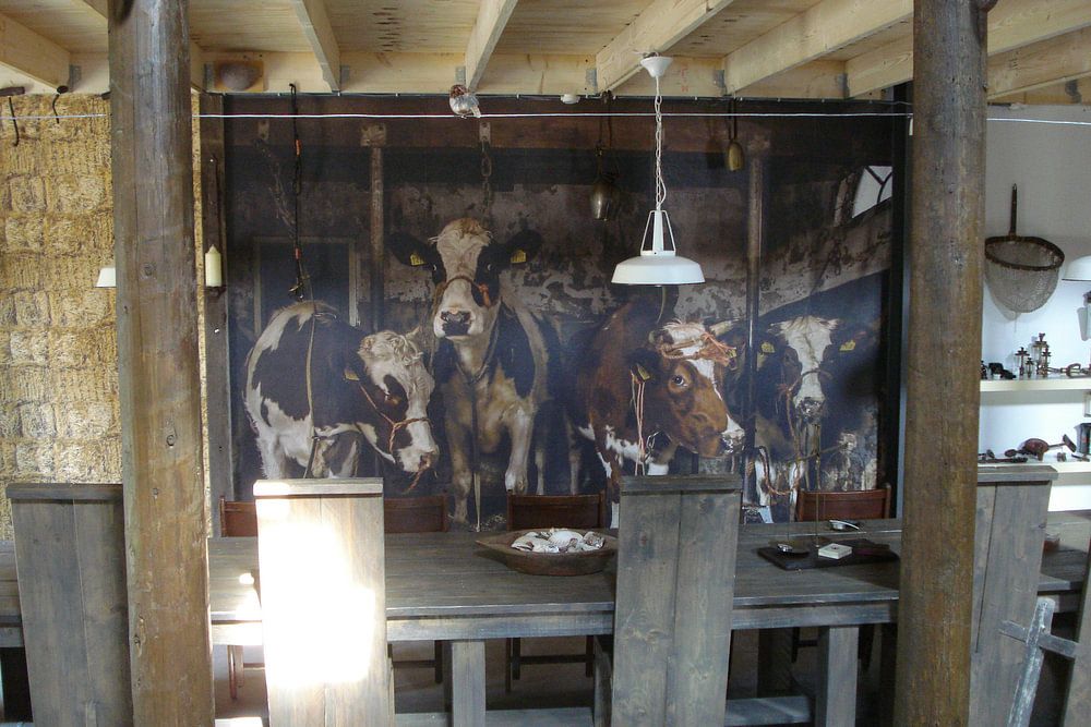 Vaches dans une ancienne étable  par Inge Jansen 