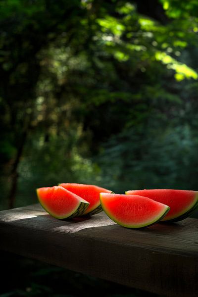 Saftige Wassermelonenstücke im Wald von Poster Art Shop