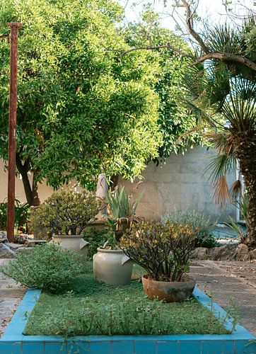 Das grüne Gartenporträt