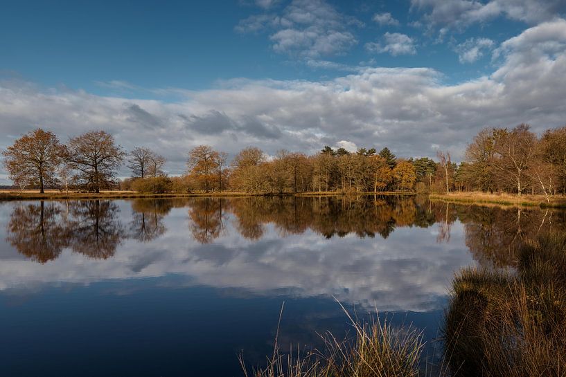 Dwingelderveld on one of the last days of autumn by Fenna Duin-Huizing