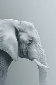 Grauer Elefant im Seitenprofil - minimalistisch