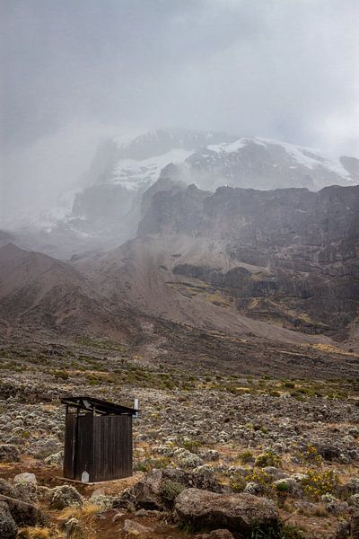 Einsamer Stand an der Flanke des Kilimandscharo von Mickéle Godderis
