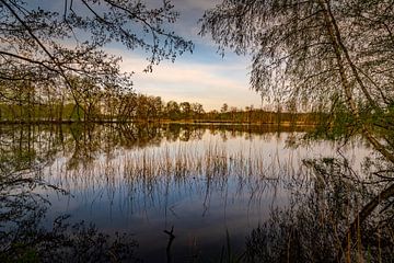 Romantischer Blick auf einen Teich von Holger Spieker