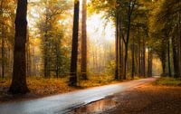 Indian summer Lochem
