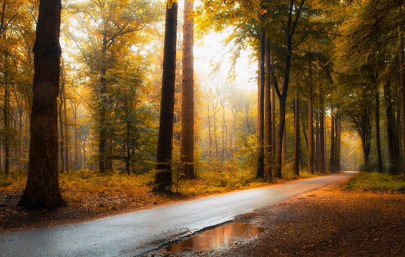 Indian summer Lochem van Jos Erkamp