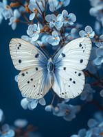 Delft Blue Butterfly on white with blue flowers