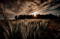 Ein Sonnenuntergang, sehr künstlerisch dargestellt