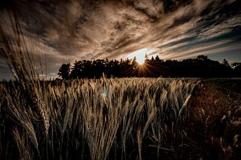 Een zonsondergang, zeer artistiek weergegeven