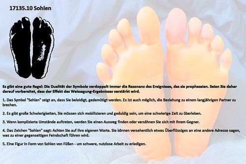 Zolen 17135.10