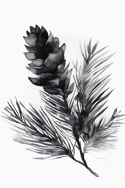 Watercolor pine cone by haroulita