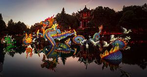 Shen Long at sunset, Montreal botanical gardens. von Luis Boullosa